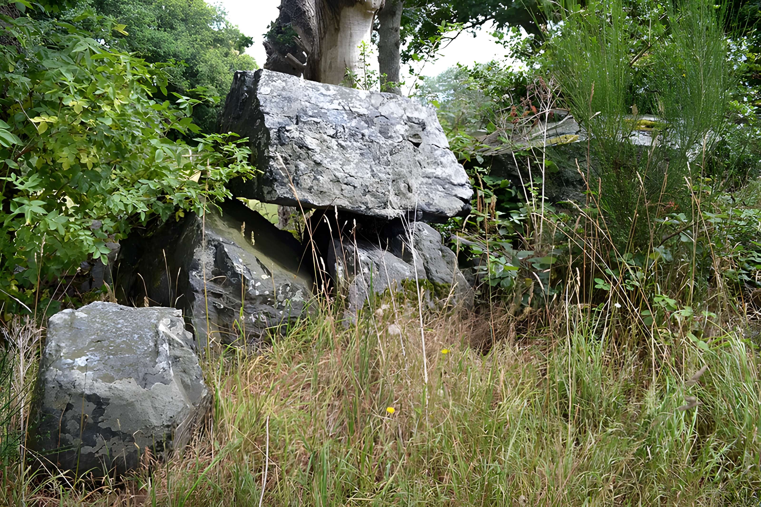 Allée couverte de La Roche Camio à Plédran