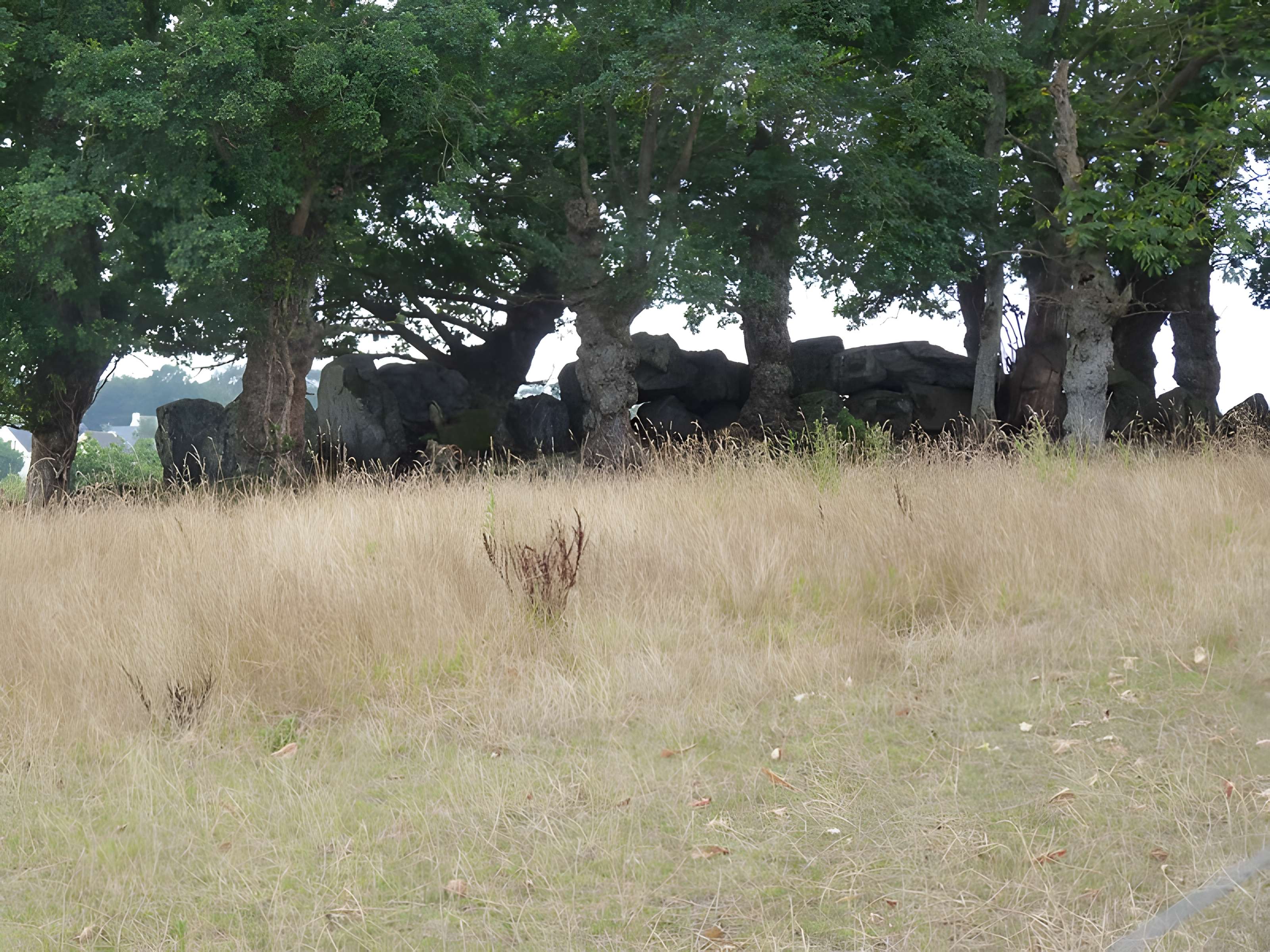 Allée couverte de La Roche Camio à Plédran