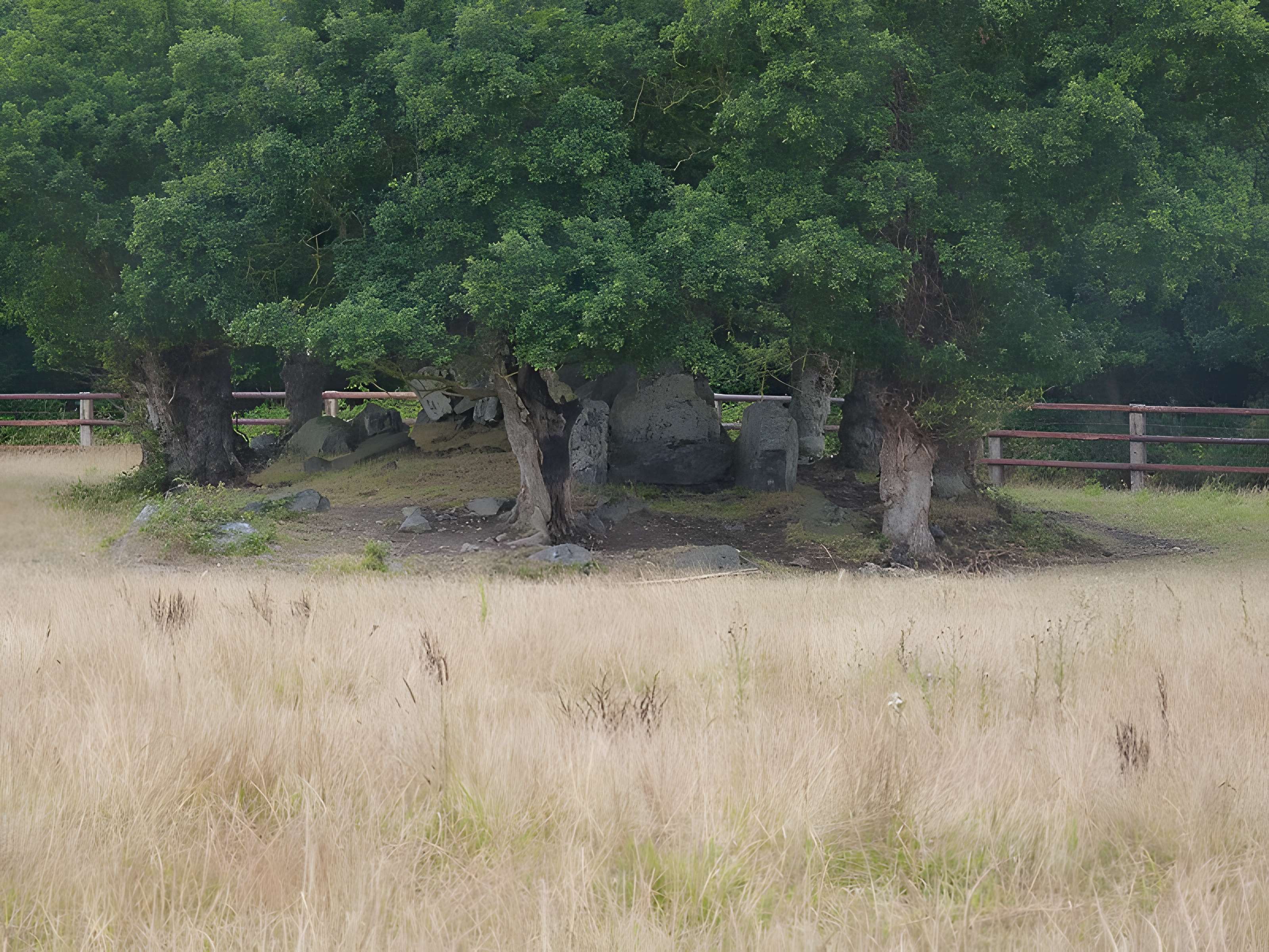 Allée couverte de La Roche Camio à Plédran