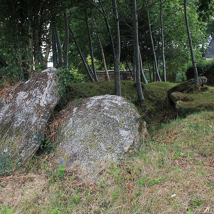Photo de Allée couverte de Lann-et-Vein à Camors