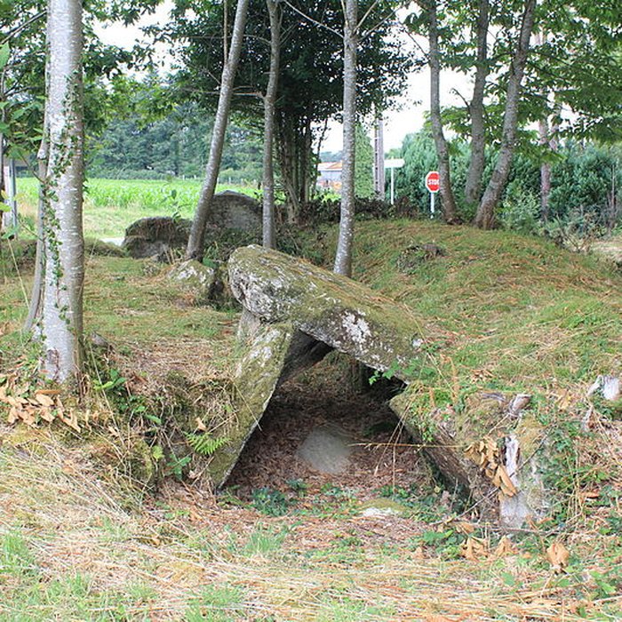Photo de Allée couverte de Lann-et-Vein à Camors
