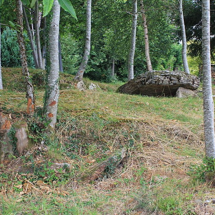 Photo de Allée couverte de Lann-et-Vein à Camors