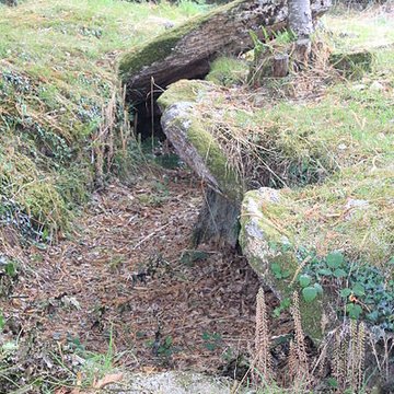 Allée couverte de Lann-et-Vein à Camors
