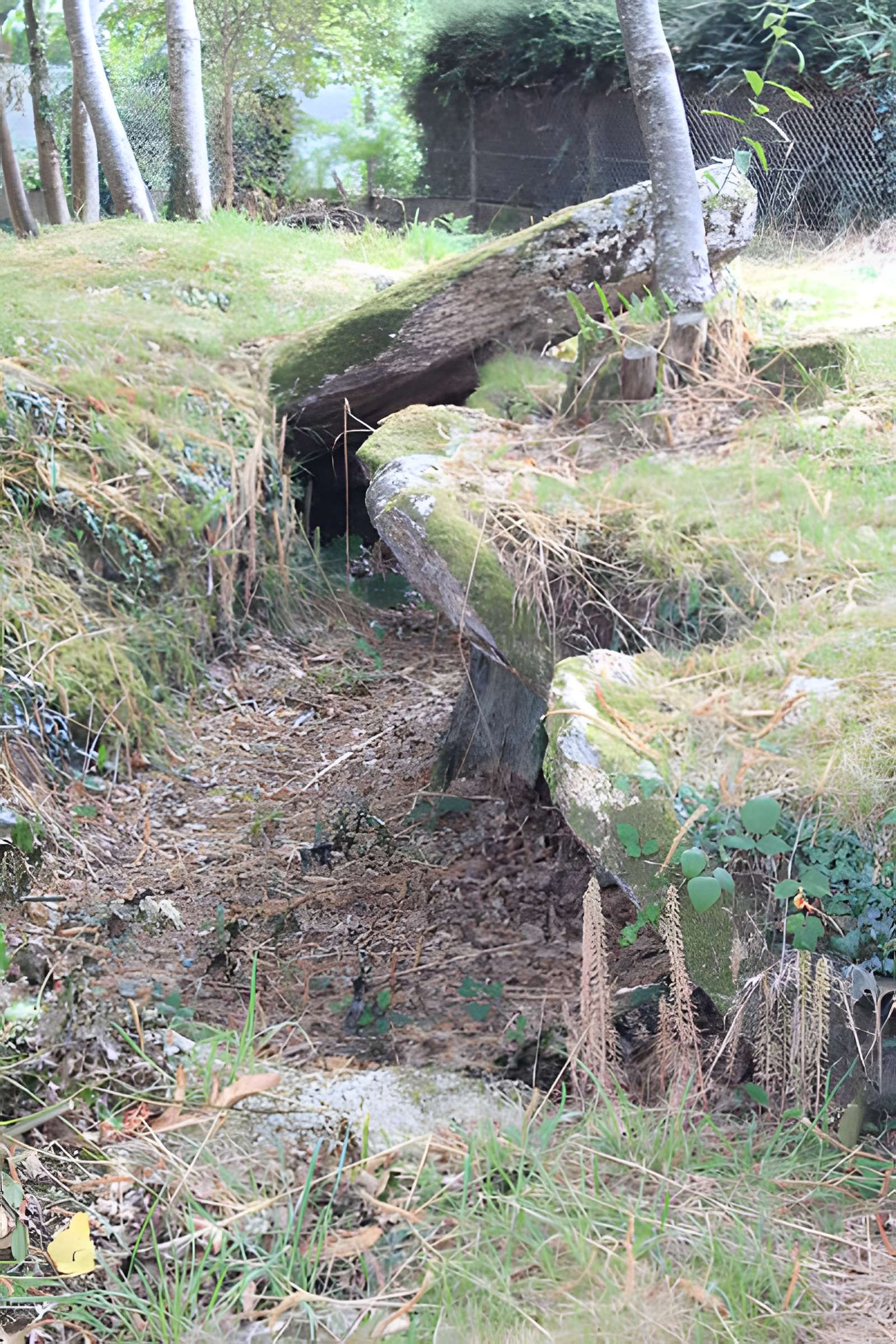 Allée couverte de Lann-et-Vein à Camors