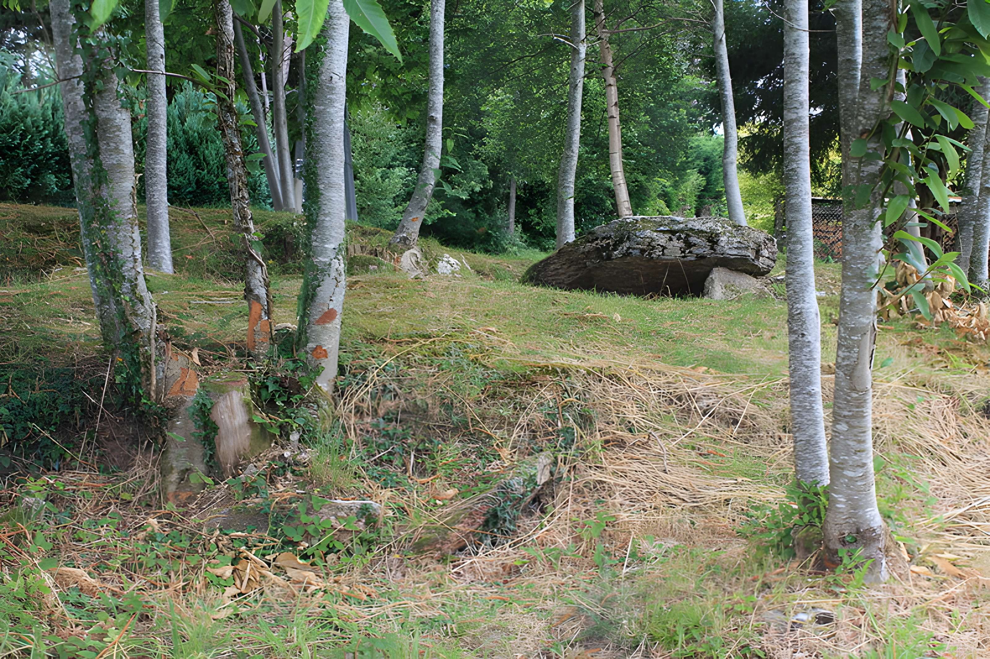 Allée couverte de Lann-et-Vein à Camors