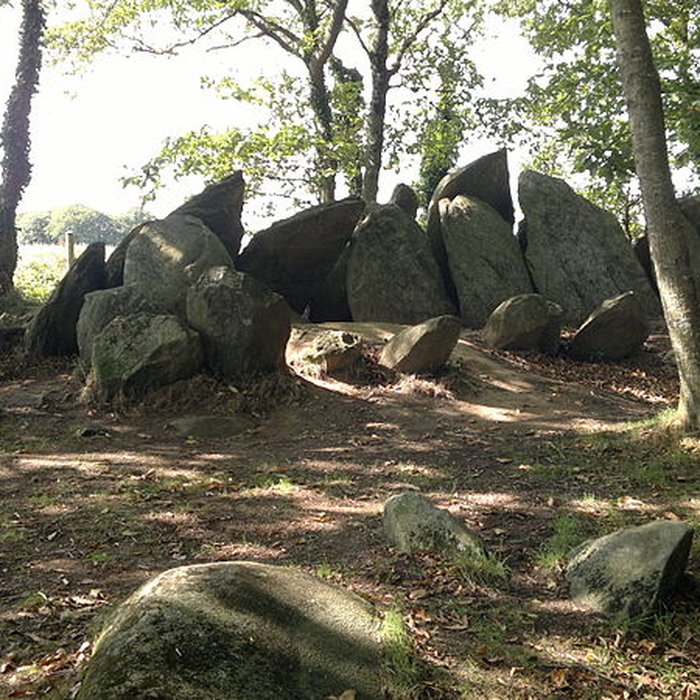 Photo de Allée couverte de Lesconil à Poullan-sur-Mer