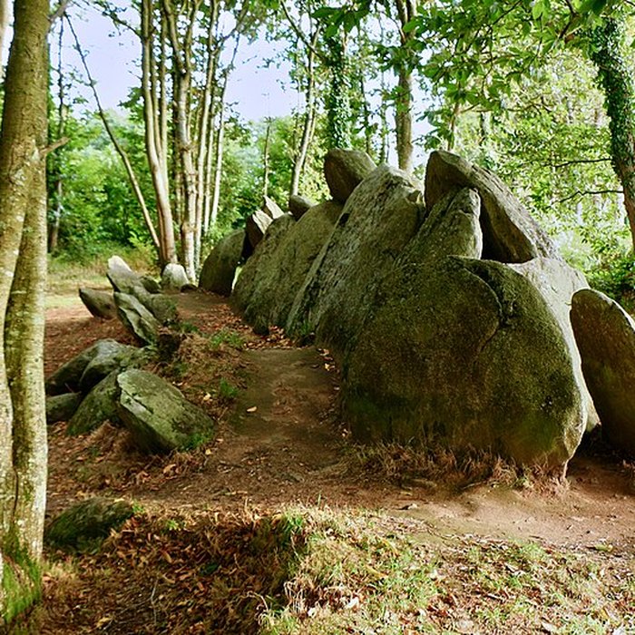Photo de Allée couverte de Lesconil à Poullan-sur-Mer