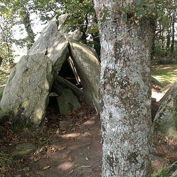 Photo de Allée couverte de Lesconil à Poullan-sur-Mer