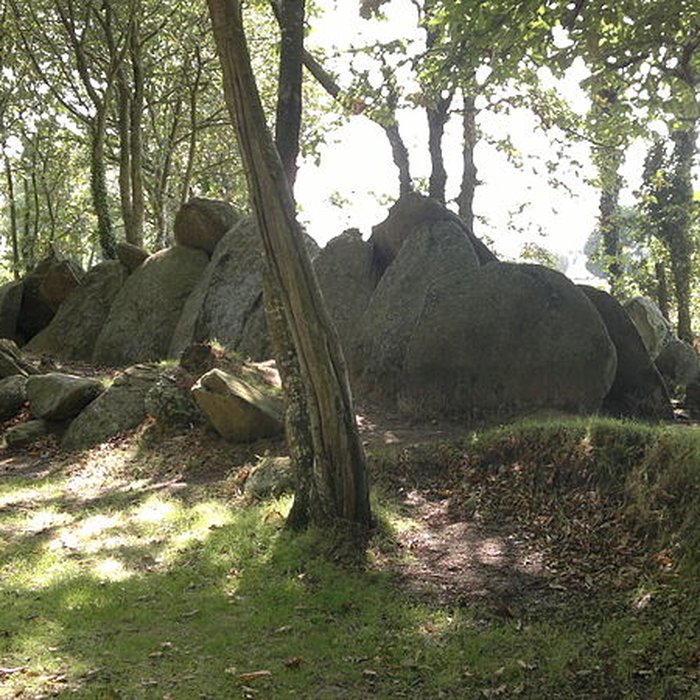 Photo de Allée couverte de Lesconil à Poullan-sur-Mer