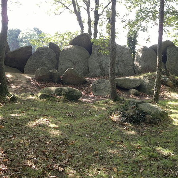 Photo de Allée couverte de Lesconil à Poullan-sur-Mer