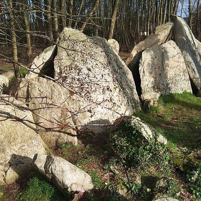 Photo de Allée couverte de Lesconil à Poullan-sur-Mer