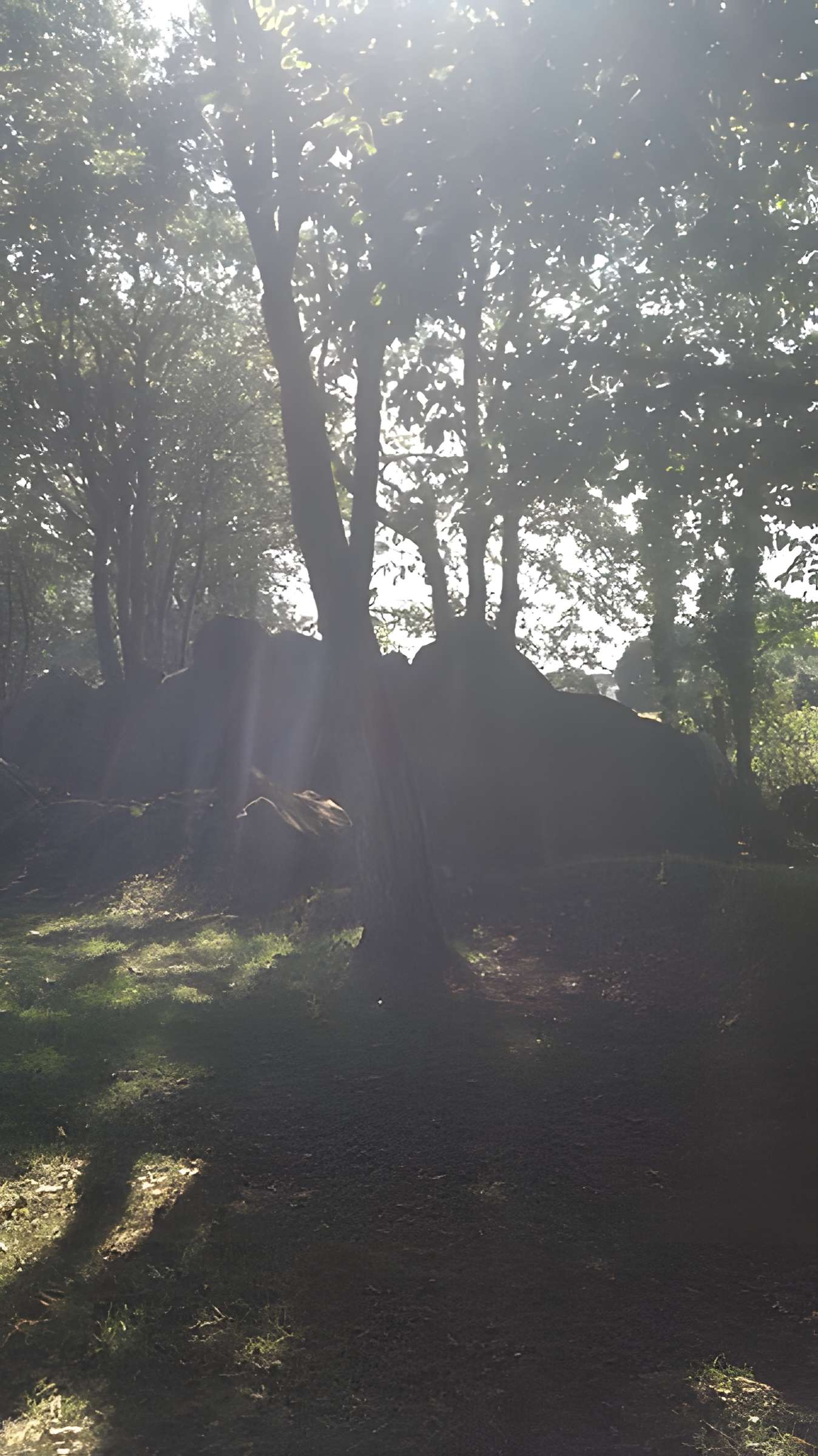 Allée couverte de Lesconil à Poullan-sur-Mer