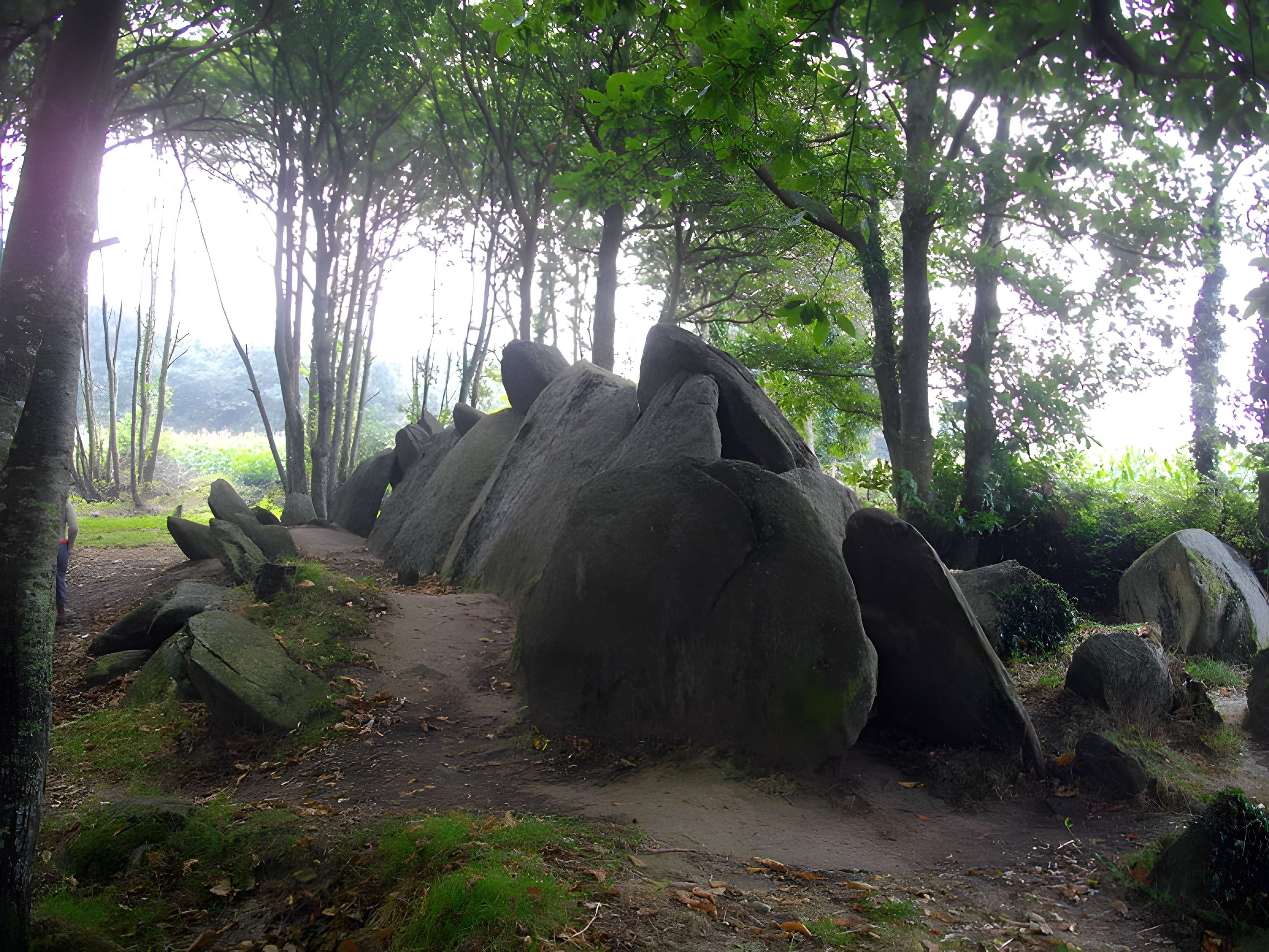 Allée couverte de Lesconil à Poullan-sur-Mer