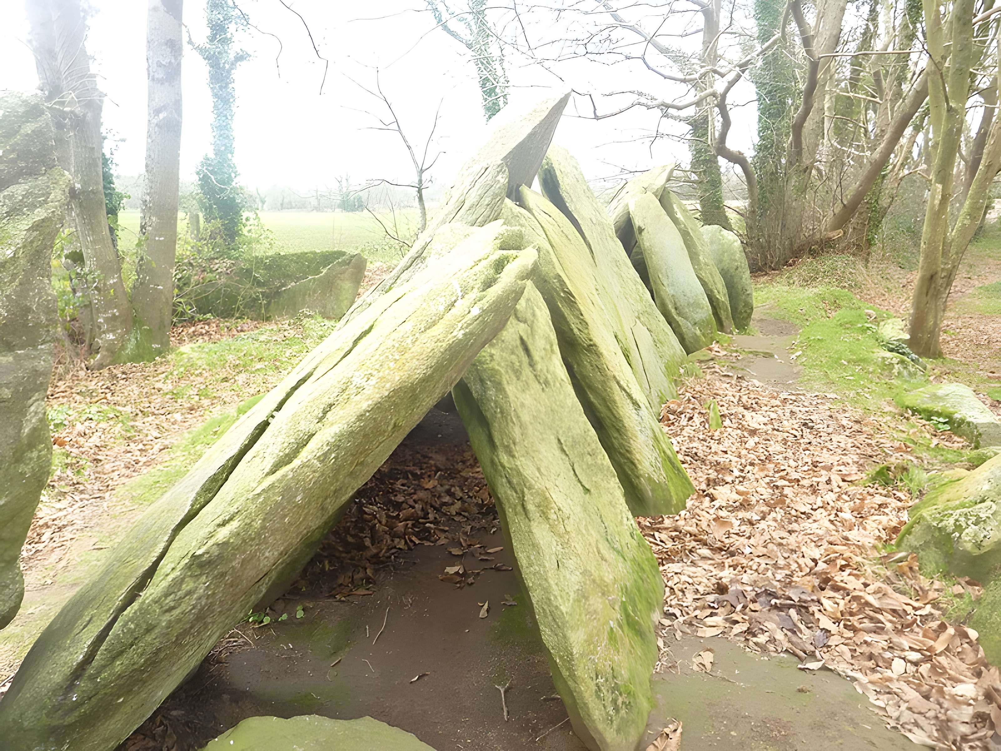 Allée couverte de Lesconil à Poullan-sur-Mer