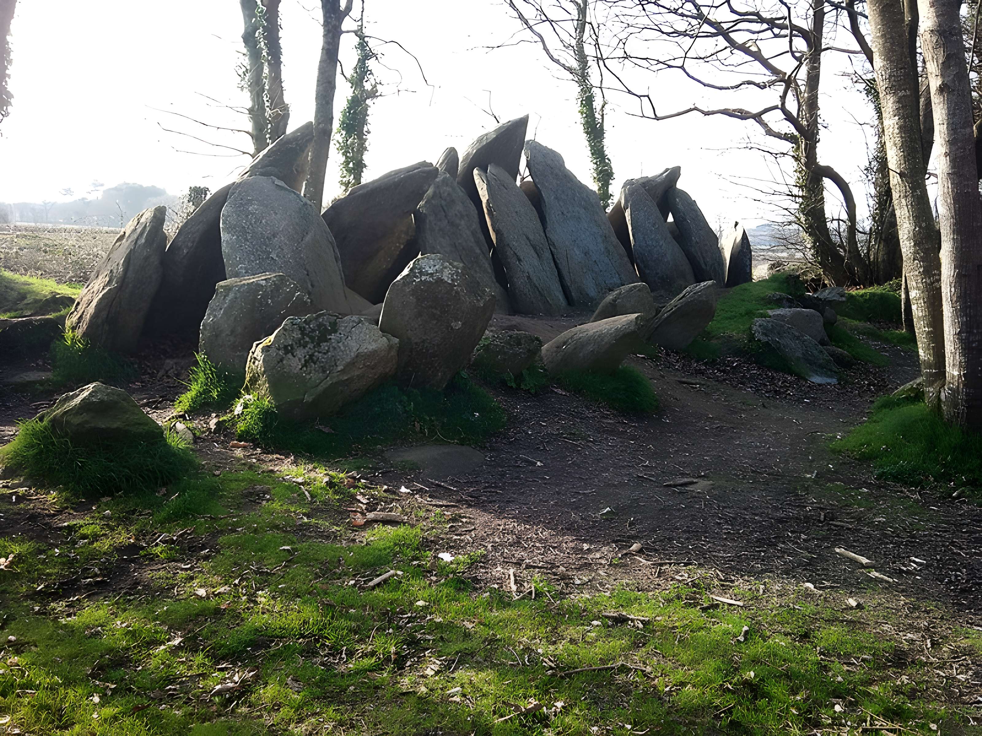 Allée couverte de Lesconil à Poullan-sur-Mer