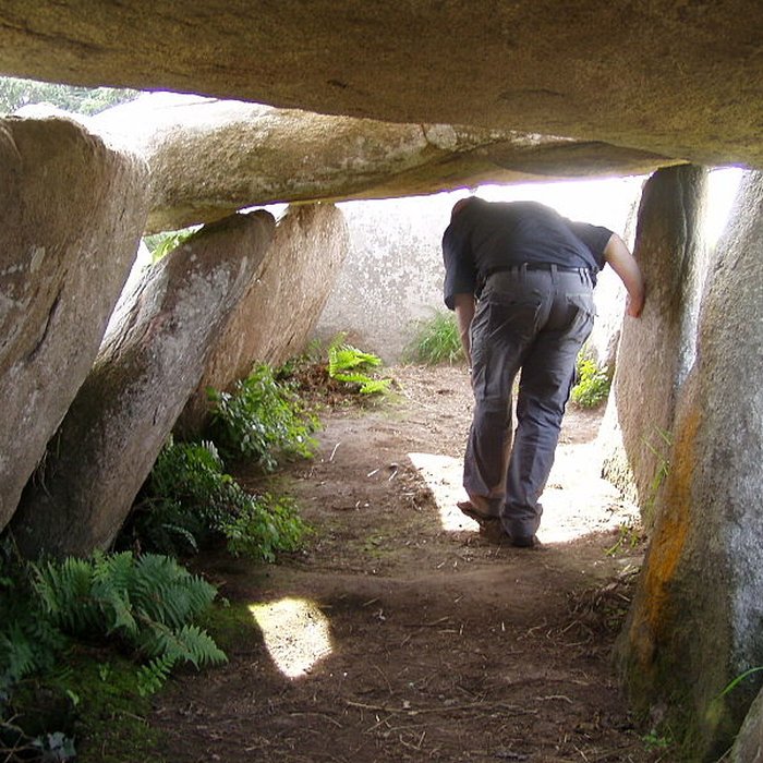Photo de Allée couverte de lÎle-Grande à Pleumeur-Bodou