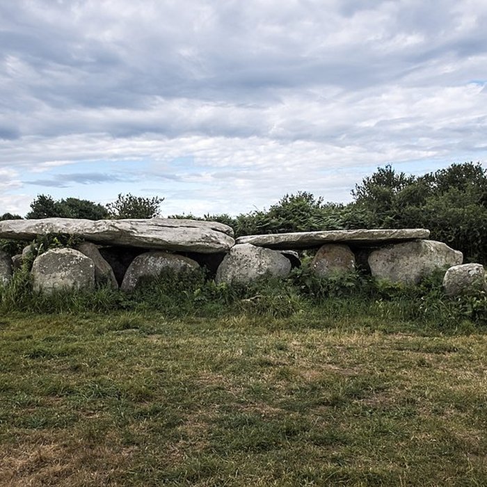 Photo de Allée couverte de lÎle-Grande à Pleumeur-Bodou