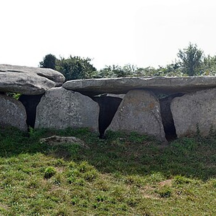 Photo de Allée couverte de lÎle-Grande à Pleumeur-Bodou