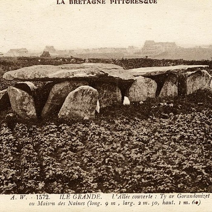 Photo de Allée couverte de lÎle-Grande à Pleumeur-Bodou