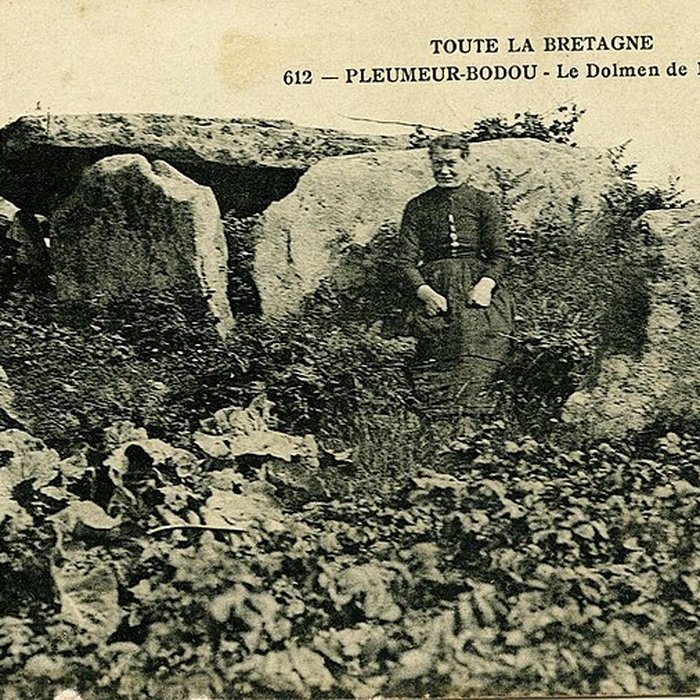 Photo de Allée couverte de lÎle-Grande à Pleumeur-Bodou
