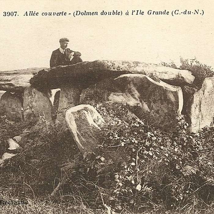 Photo de Allée couverte de lÎle-Grande à Pleumeur-Bodou