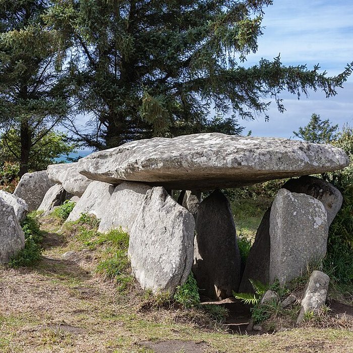 Photo de Allée couverte de lÎle-Grande à Pleumeur-Bodou