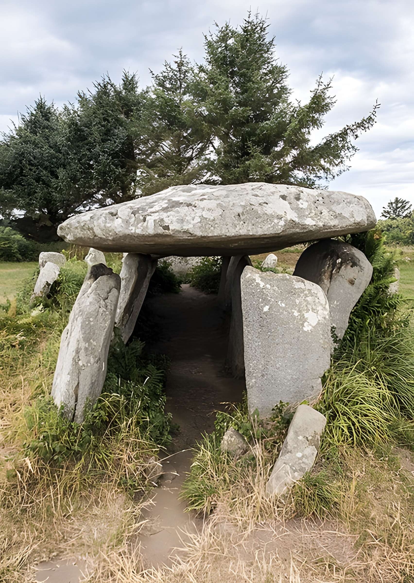 Allée couverte de l'Île-Grande à Pleumeur-Bodou