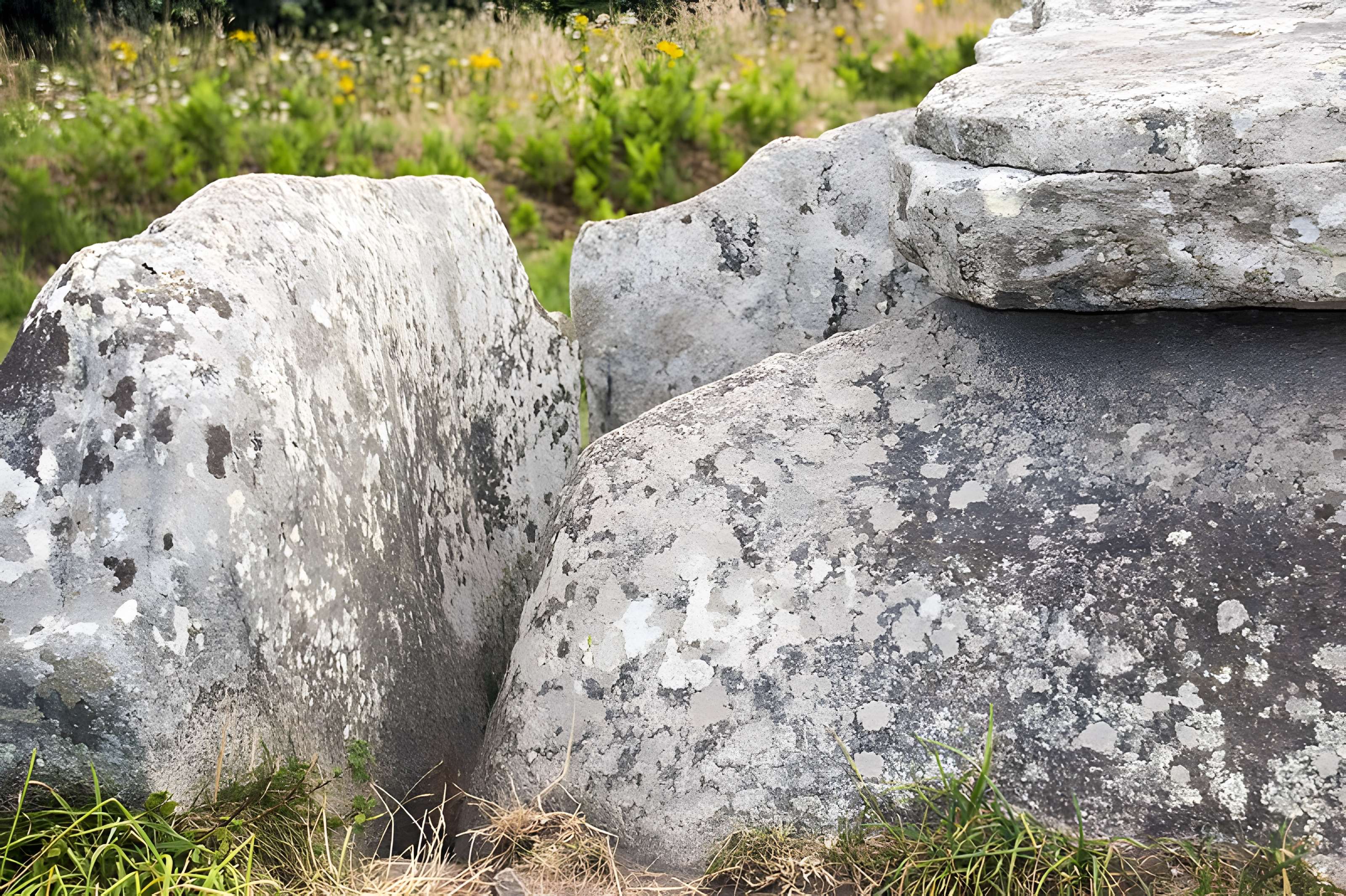 Allée couverte de l'Île-Grande à Pleumeur-Bodou
