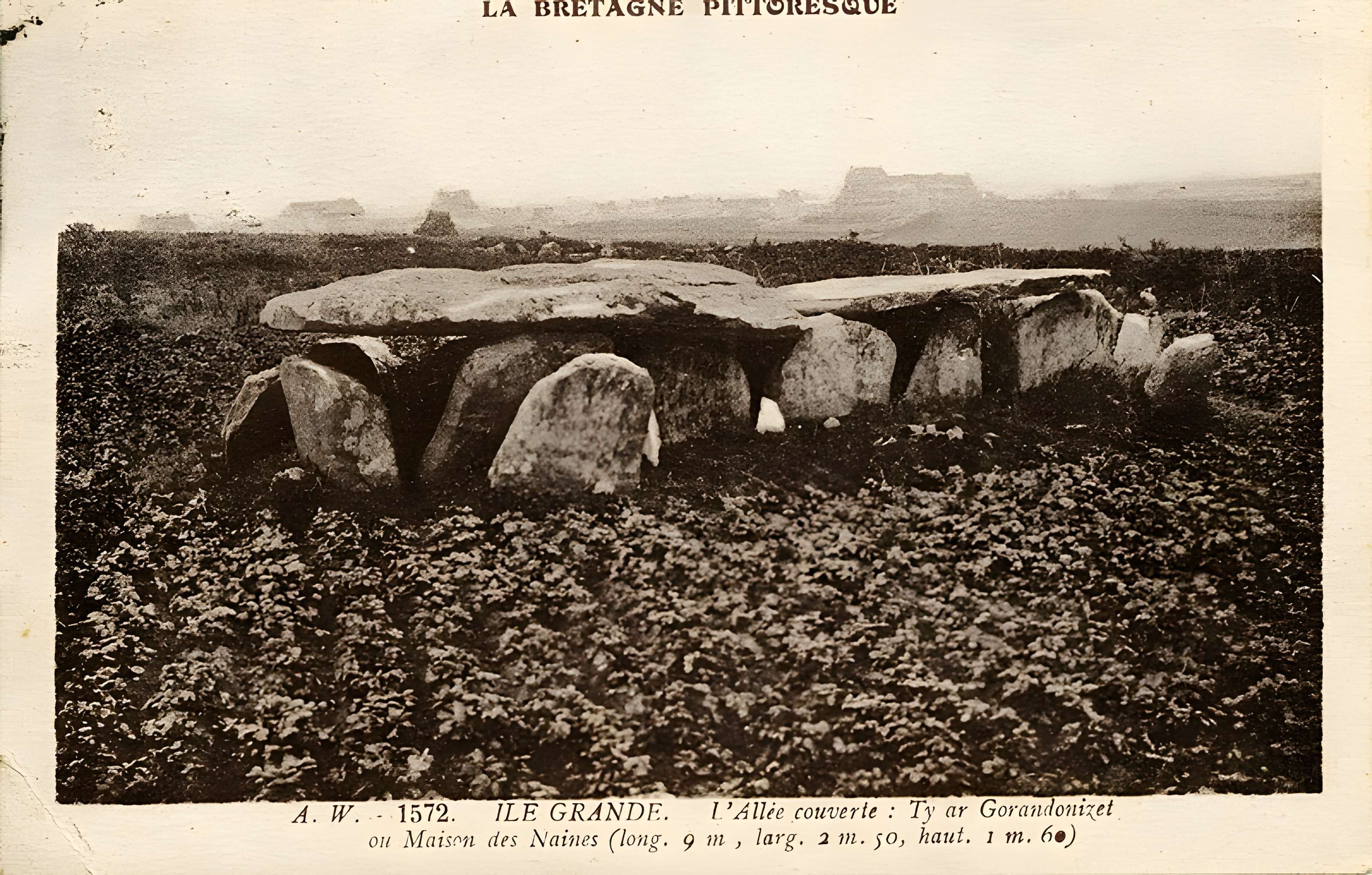 Allée couverte de l'Île-Grande à Pleumeur-Bodou
