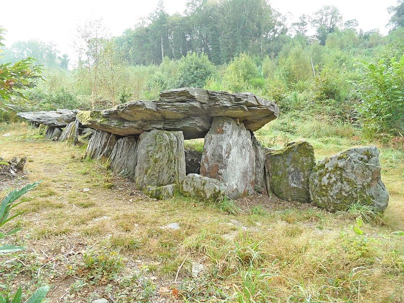 Photo de Allée couverte de Loch-ar-Ronfl à Gouézec