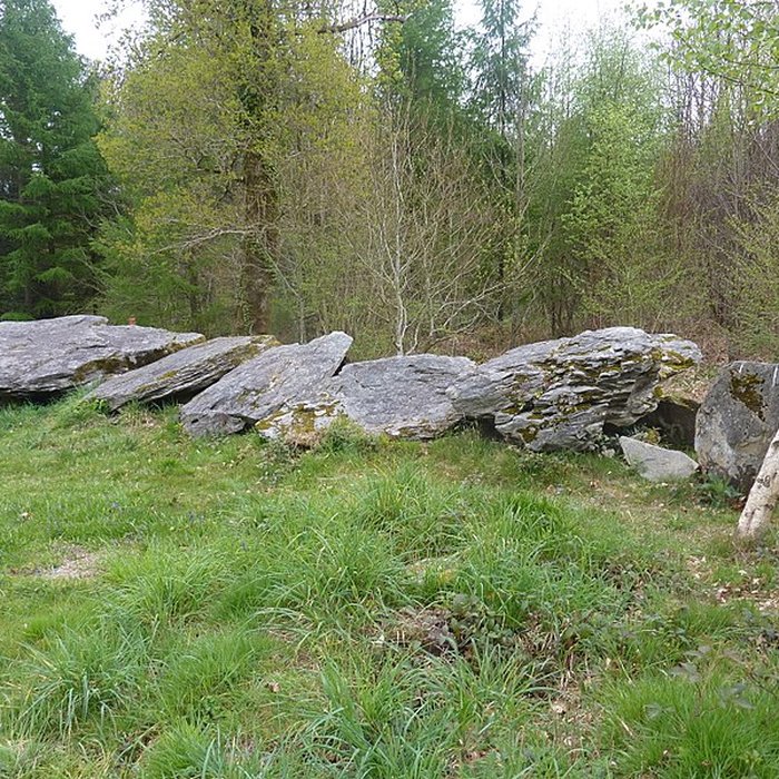 Photo de Allée couverte de Loch-ar-Ronfl à Gouézec