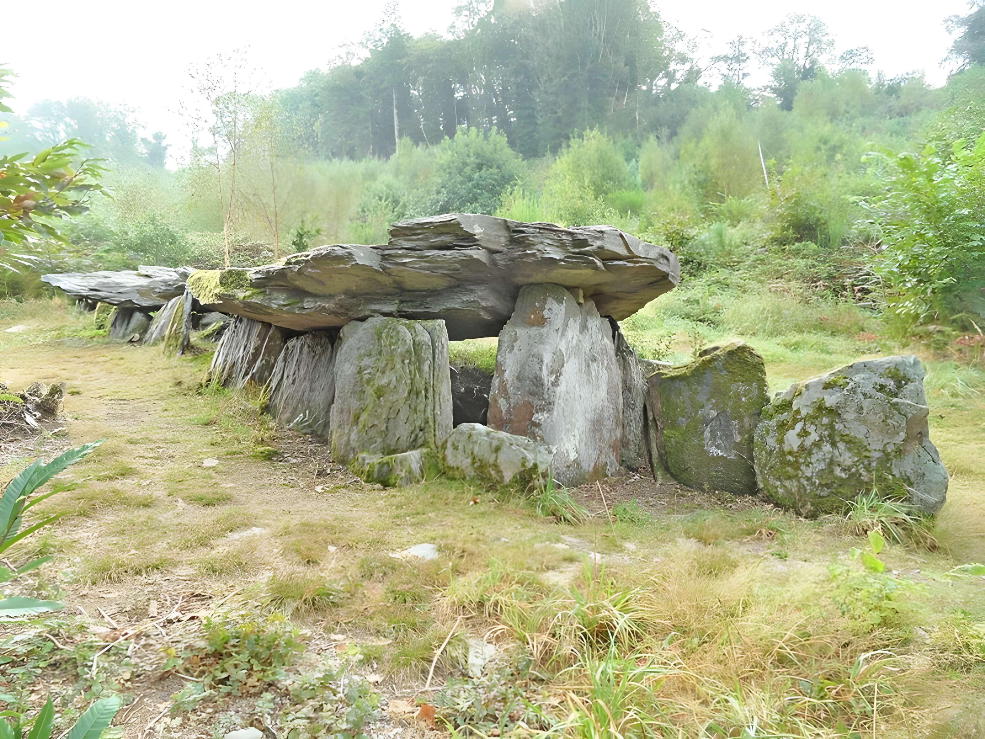 Allée couverte de Loch-ar-Ronfl à Gouézec 