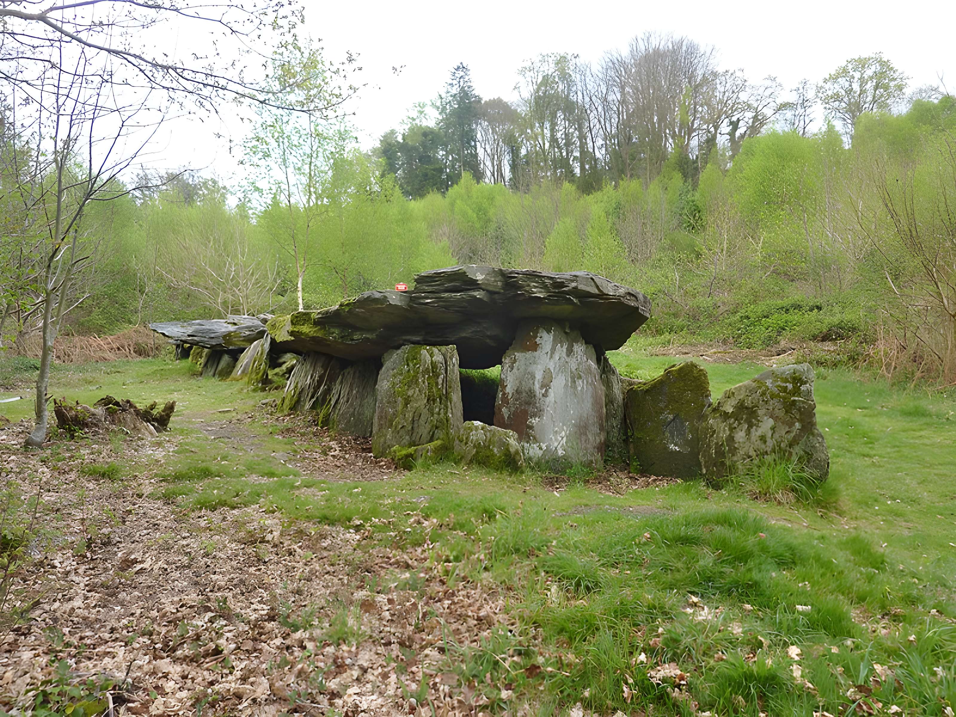 Allée couverte de Loch-ar-Ronfl à Gouézec
