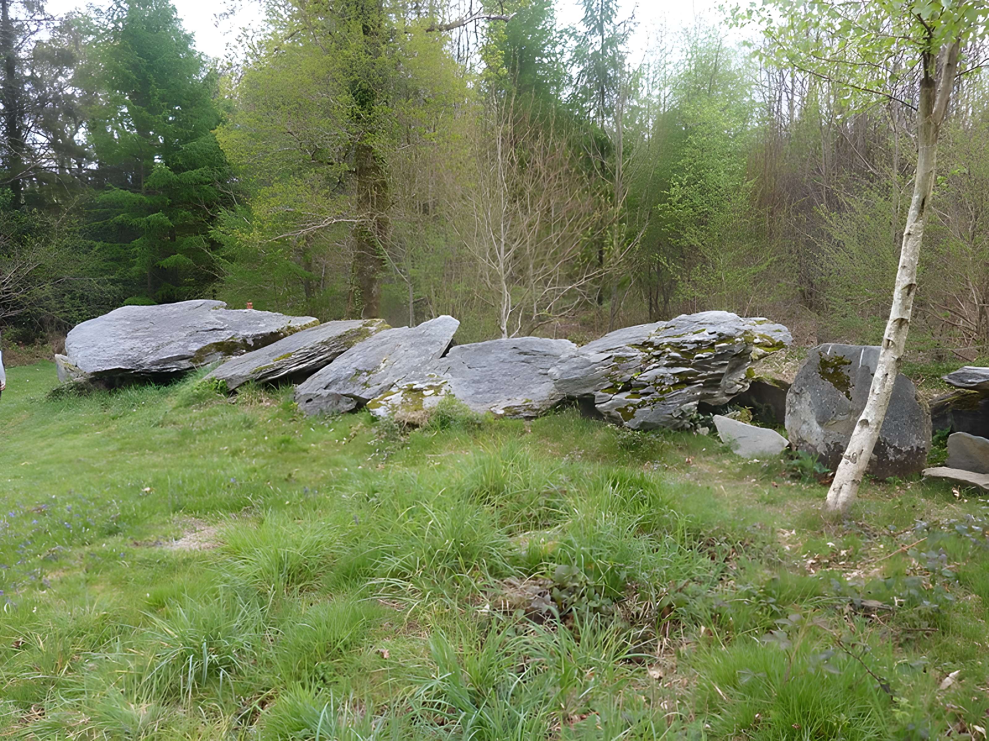Allée couverte de Loch-ar-Ronfl à Gouézec