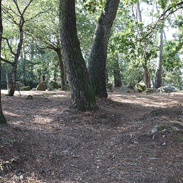 Photo de Allée couverte de Luffang Tal er Roch à Crach