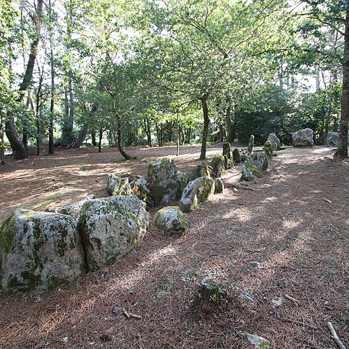Photo de Allée couverte de Luffang Tal er Roch à Crach