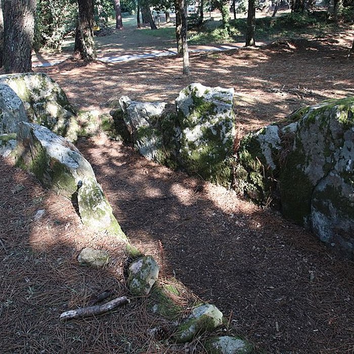 Photo de Allée couverte de Luffang Tal er Roch à Crach