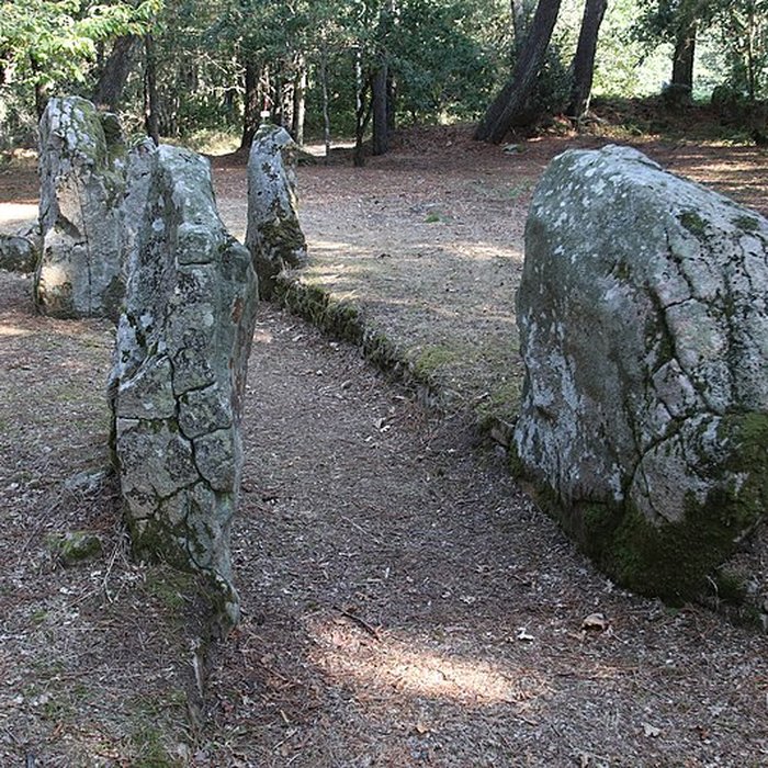 Photo de Allée couverte de Luffang Tal er Roch à Crach