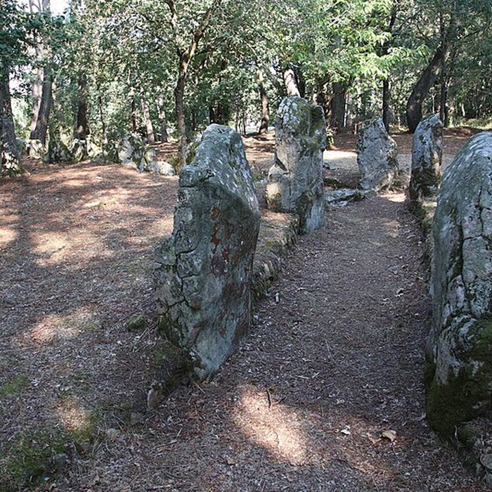 Photo de Allée couverte de Luffang Tal er Roch à Crach