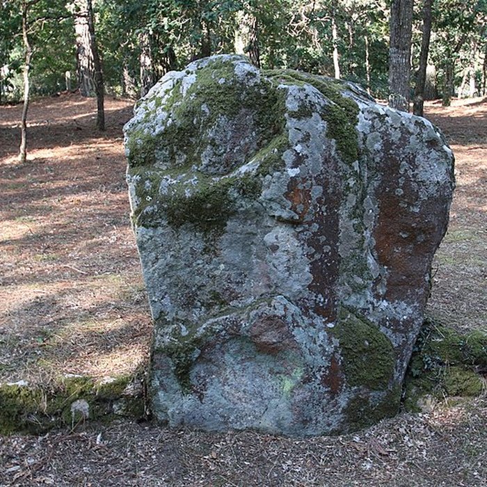 Photo de Allée couverte de Luffang Tal er Roch à Crach