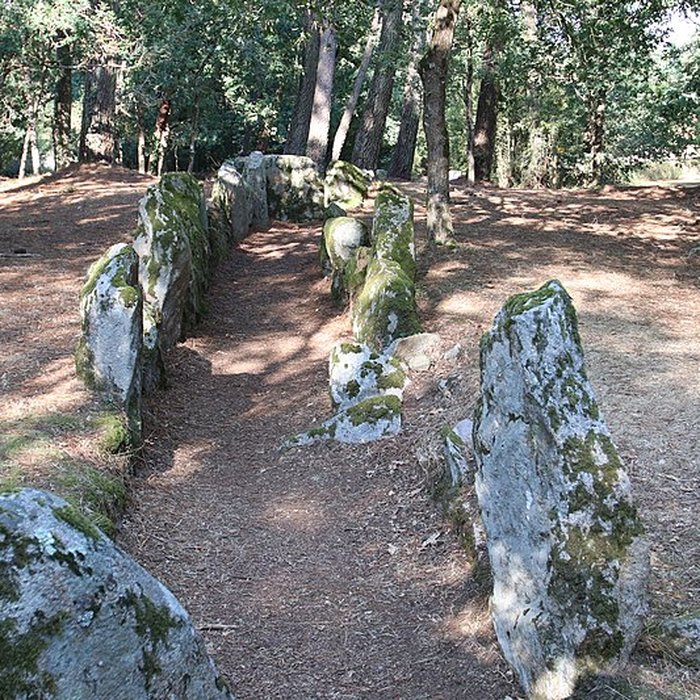 Photo de Allée couverte de Luffang Tal er Roch à Crach