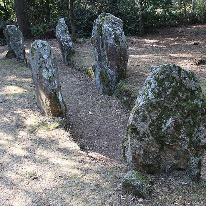 Photo de Allée couverte de Luffang Tal er Roch à Crach