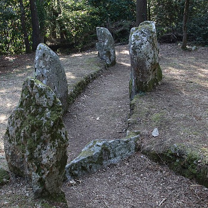 Photo de Allée couverte de Luffang Tal er Roch à Crach
