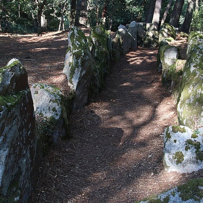Photo de Allée couverte de Luffang Tal er Roch à Crach