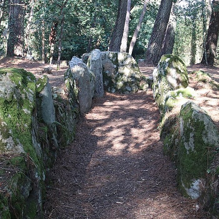 Photo de Allée couverte de Luffang Tal er Roch à Crach