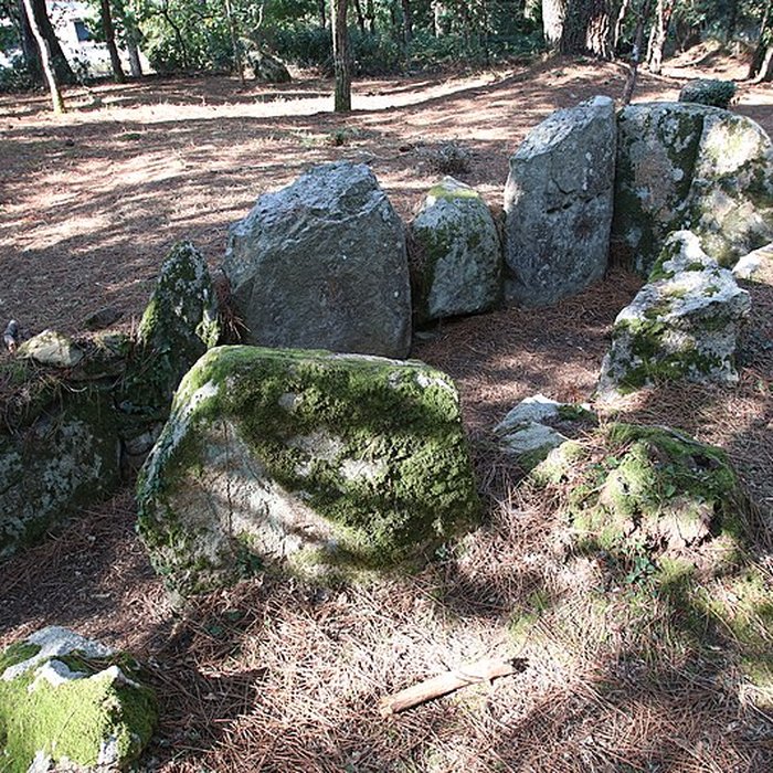 Photo de Allée couverte de Luffang Tal er Roch à Crach