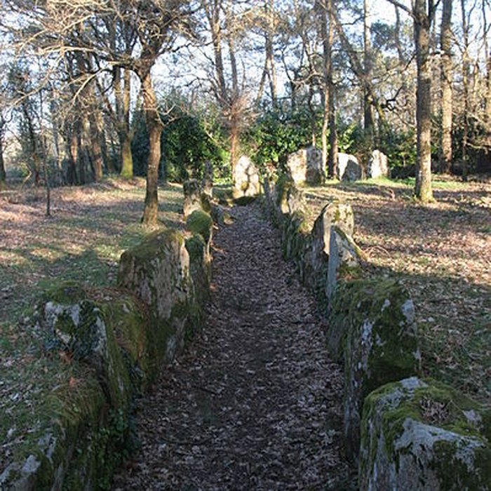 Photo de Allée couverte de Luffang Tal er Roch à Crach