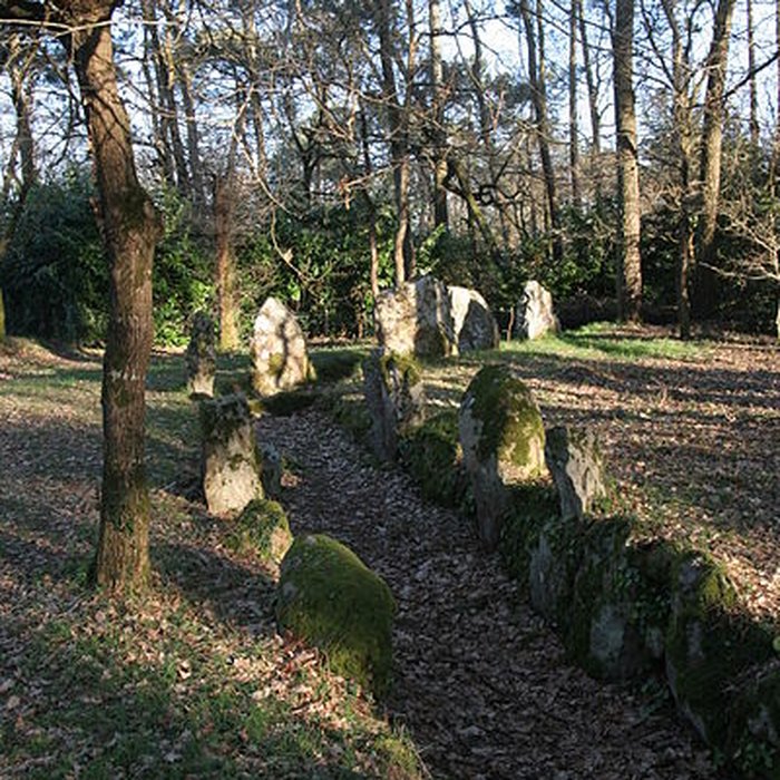 Photo de Allée couverte de Luffang Tal er Roch à Crach