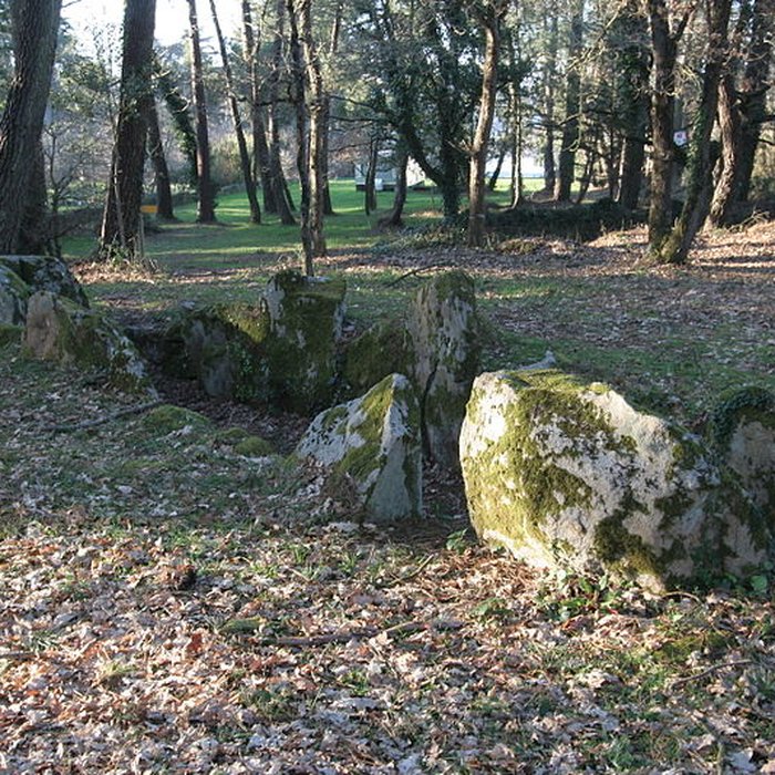 Photo de Allée couverte de Luffang Tal er Roch à Crach