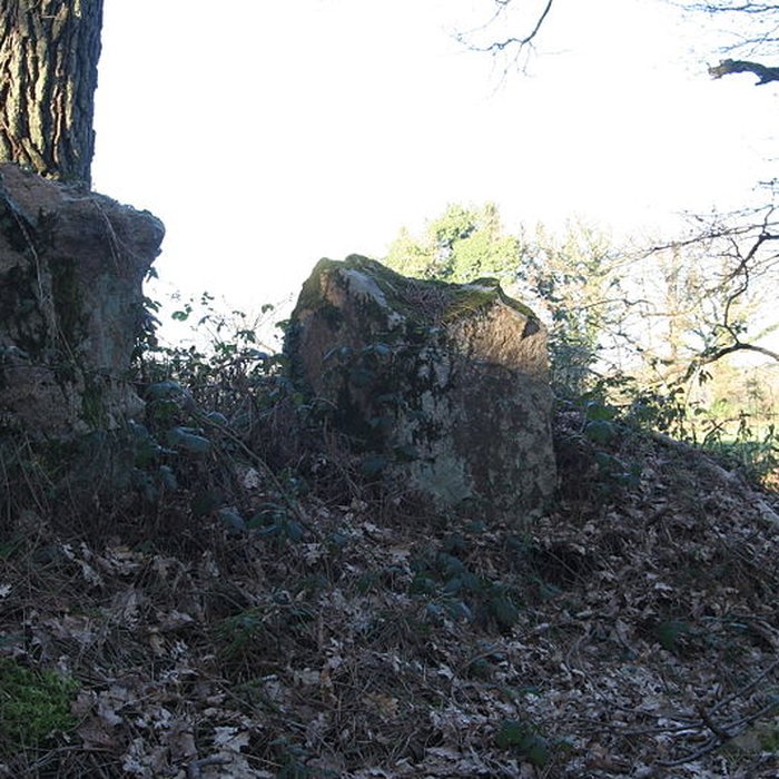 Photo de Allée couverte de Luffang Tal er Roch à Crach